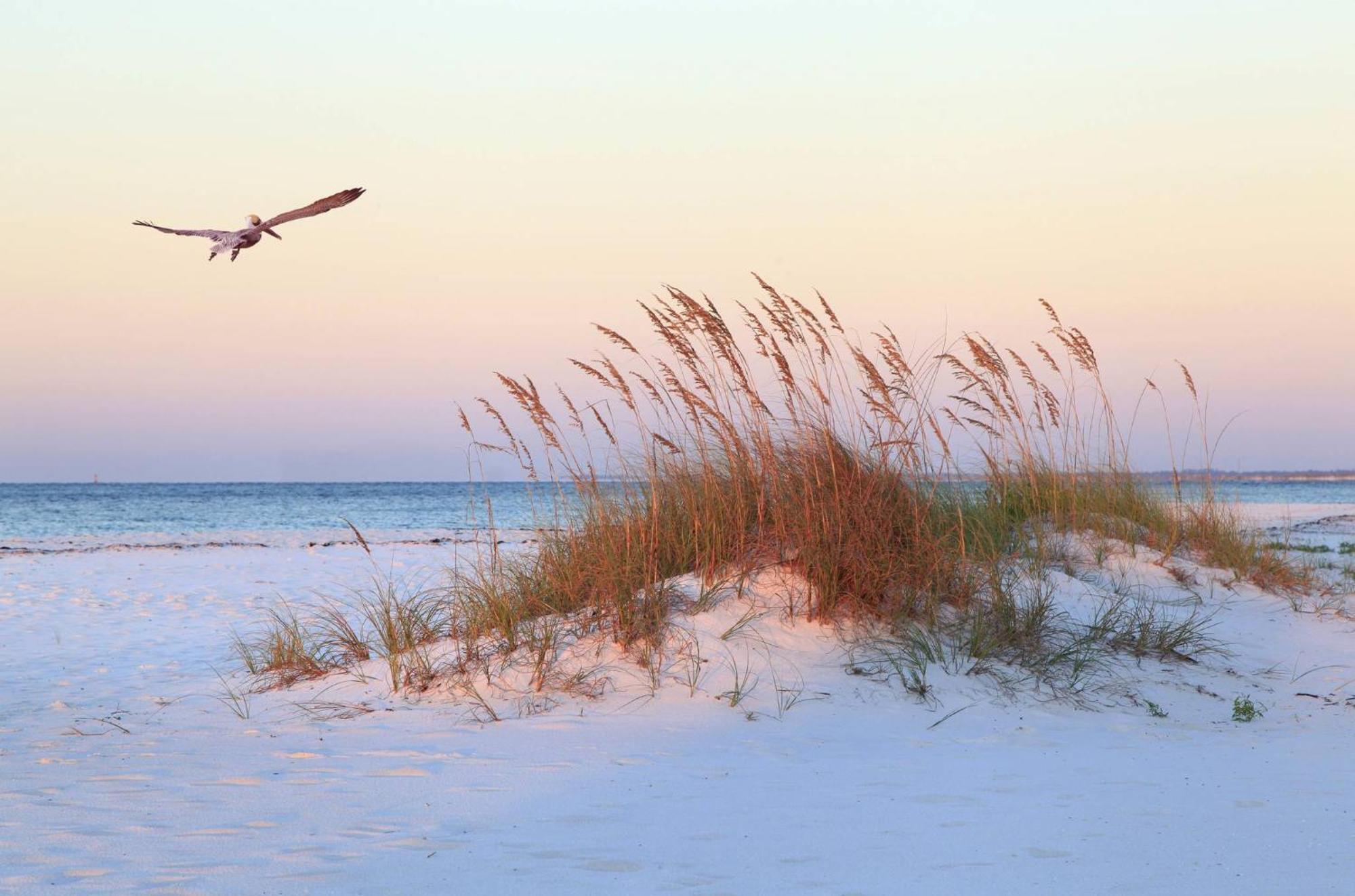 2 Sea Lane Villa Hilton Head Island Buitenkant foto